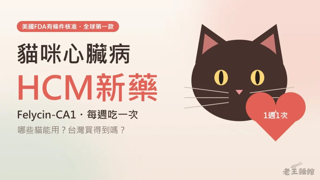 奶油色封面，左上是珊瑚紅標籤寫著美國FDA有條件核准、全球第一款，下方大字貓咪心臟病與珊瑚紅的HCM新藥，再寫Felycin-CA1每週吃一次、哪些貓能用、台灣買得到嗎；右邊是一張深咖啡色的貓臉插圖，黃色眼睛、粉紅耳朵和白色鬍鬚，下巴前方有一顆珊瑚紅愛心寫著1週1次。