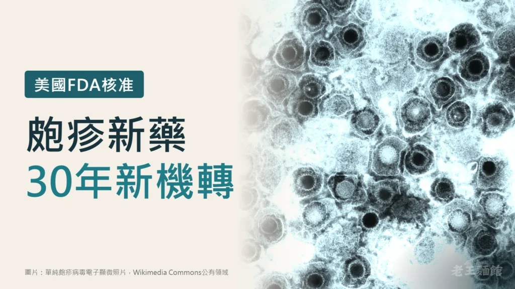 淺米色封面，左側寫著美國FDA核准、皰疹新藥、30年新機轉；右側是單純皰疹病毒的電子顯微照片，畫面布滿圓形的病毒顆粒。