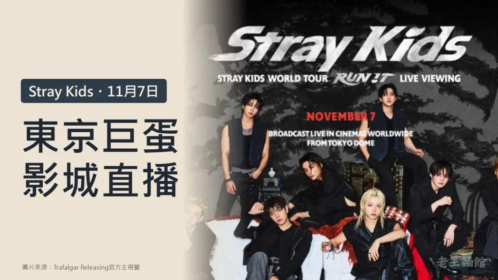 封面左側淺米色底寫著東京巨蛋影城直播，標籤是Stray Kids與11月7日；右側是官方主視覺，8名成員穿黑色服裝坐在水墨山水背景前，上方是Stray Kids字樣。