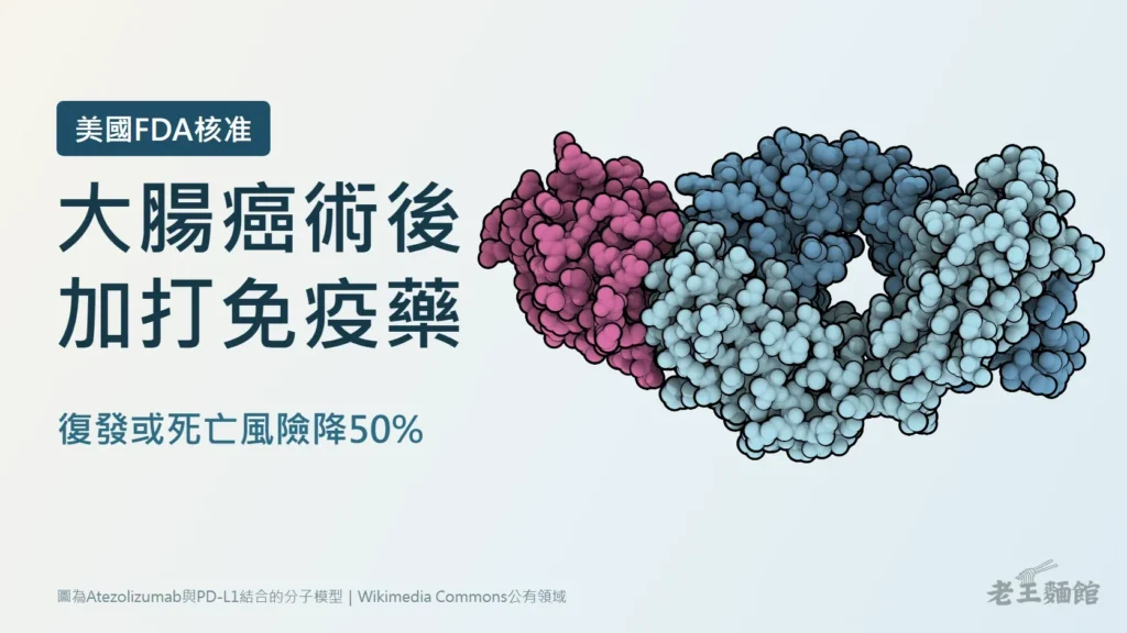 淺藍灰底封面,左側大字寫著大腸癌術後加打免疫藥、美國FDA核准、復發或死亡風險降50%;右側是癌自禦的有效成分atezolizumab與PD-L1蛋白結合的立體分子模型,藍色與淺藍色是藥物抗體,桃紅色是PD-L1。