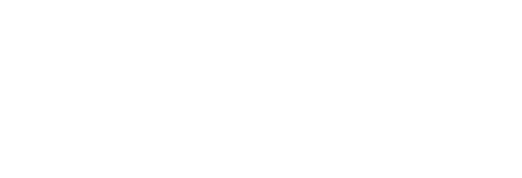老王新聞網logo-白