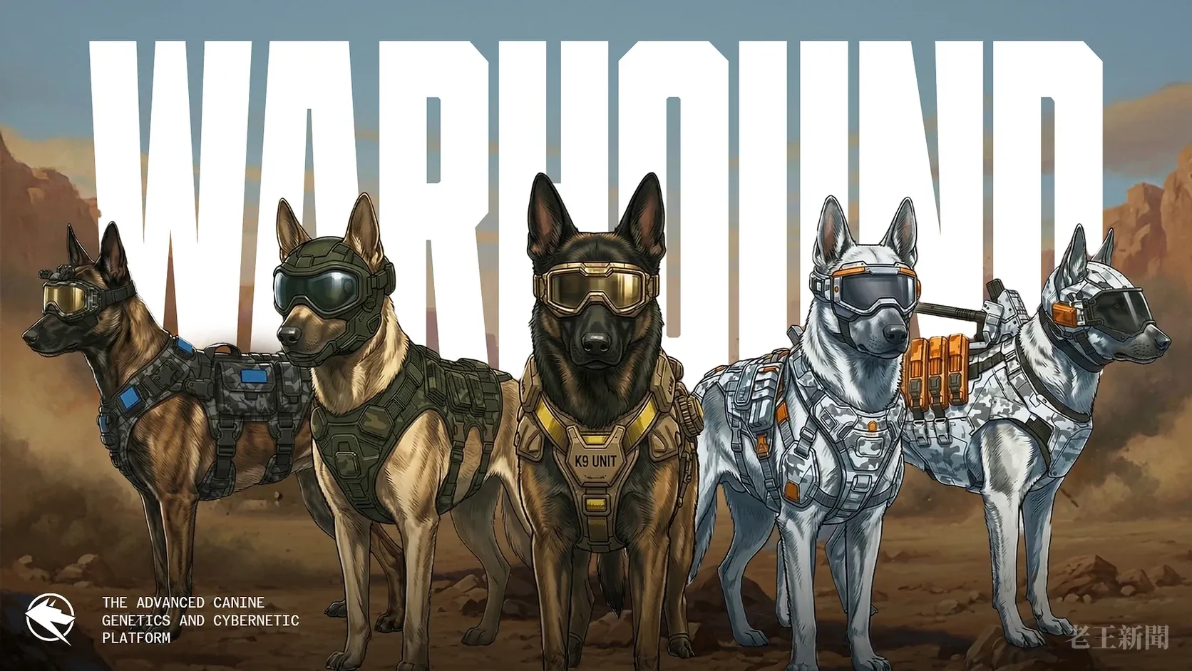 Warhound官方主視覺，五隻穿戴迷彩背心、護目鏡與頭盔的牧羊犬並排站在沙漠岩地上，背後是白色的WARHOUND大字。